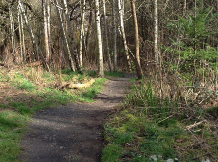 The natural surface trail leading to Capitol Hill Road may be muddy, narrow and steep